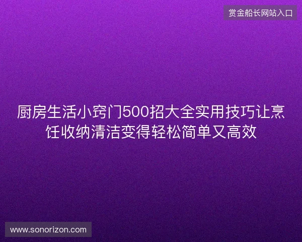 厨房生活小窍门500招大全实用技巧让烹饪收纳清洁变得轻松简单又高效